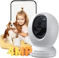 Indoor Home Security Cameras